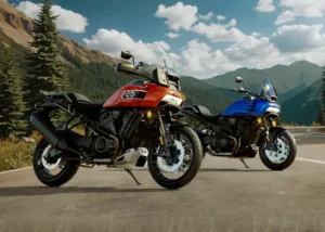 Mega Sale Madness! Enjoy 30% off