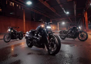 Mega Sale Madness! Enjoy 30% off